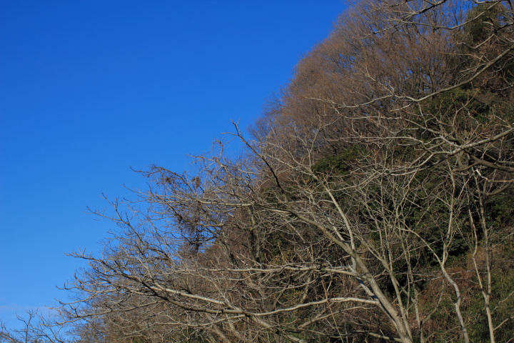 Canon EOS 60D + Canon EF35mm F2 「ピクチャースタイル：OLYMPUS BLUE ver0.1」